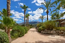 Huis in Alhaurín el Grande - Casita Travel | Casita Cuarta Suprema | Kindvriendelijk Vakantiehuis in Alhaurín el Grande