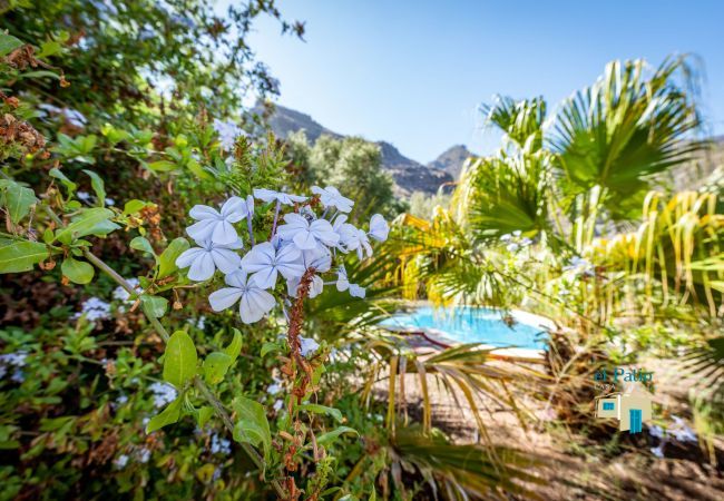 Villa in Agaete - Villa El Patio Villa in Agaete - Villa El Patio