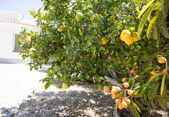 Villa in Benissa - Casita Travel | Villa Alegria Villa in Benissa - Casita Travel | Villa Alegria