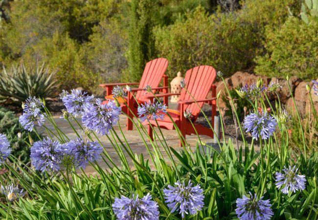 Villa in Puntagorda - Villa Infinite Villa in Puntagorda - Villa Infinite