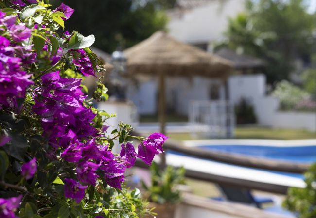 Villa in Alhaurín el Grande - Casita Cuarta Grande Villa in Alhaurín el Grande - Casita Cuarta Grande