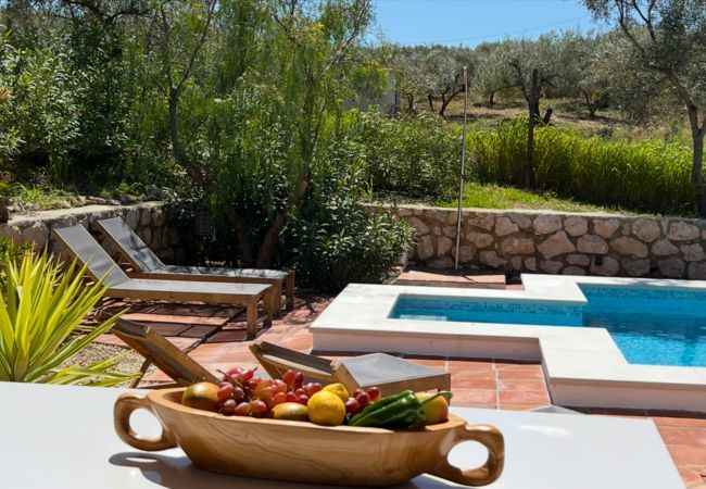 Villa in Riogordo - Finca Can Faye Villa in Riogordo - Finca Can Faye