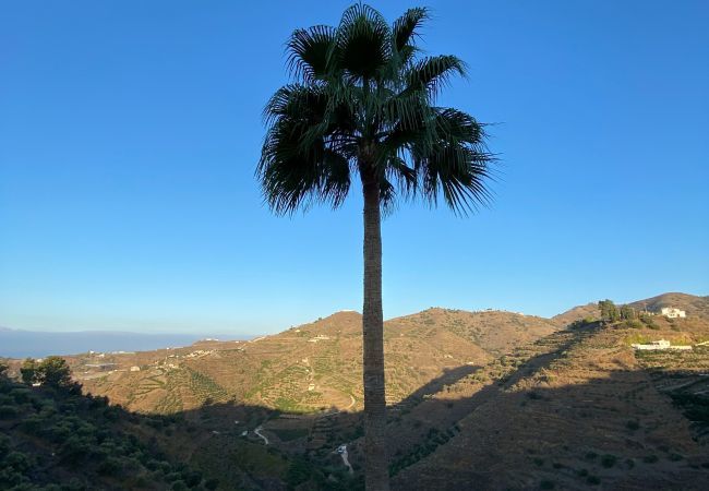 Villa in Torrox - Villa Regazo Andaluz | Villa met privé zwembad op 12 min van zee in Andalusië Villa in Torrox - Villa Regazo Andaluz | Villa met privé zwembad op 12 min van zee in Andalusië