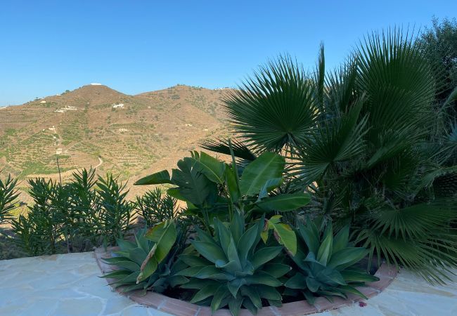 Villa in Torrox - Villa Regazo Andaluz | Villa met privé zwembad op 12 min van zee in Andalusië Villa in Torrox - Villa Regazo Andaluz | Villa met privé zwembad op 12 min van zee in Andalusië