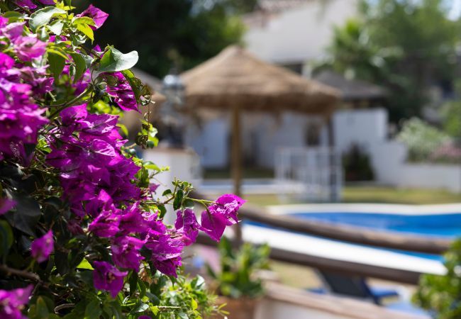 Huis in Alhaurín el Grande - Casita Cuarta Suprema Huis in Alhaurín el Grande - Casita Cuarta Suprema