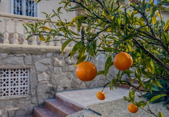 Villa in Alfaz del Pí - Casita Travel | Villa Grande Alfaz del Pi/ 16 personen villa Villa in Alfaz del Pí - Casita Travel | Villa Grande Alfaz del Pi/ 16 personen villa