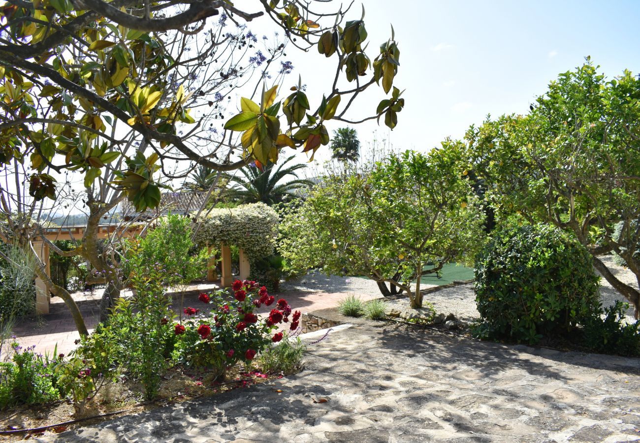 Villa in Javea - Casita Travel | Bella Javea