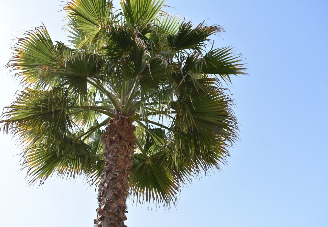 Villa in Javea - Casita Travel | Bella Javea