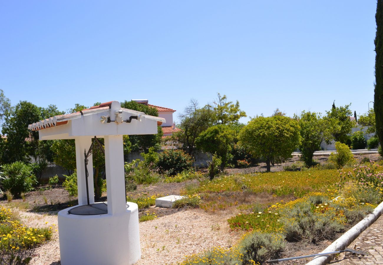 Villa in Carvoeiro - Villa Felipa