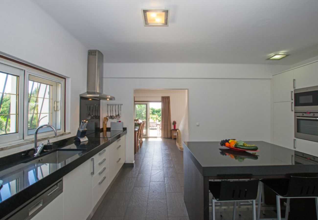 Villa in Carvoeiro - Villa Felipa