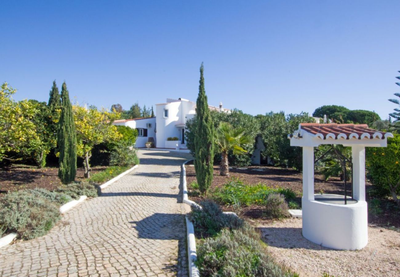 Villa in Carvoeiro - Villa Felipa