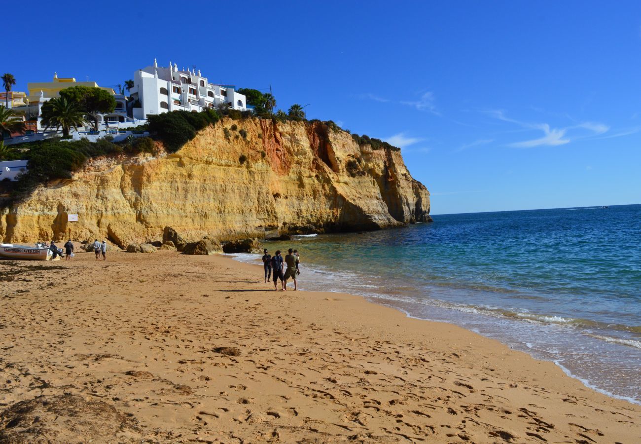 Villa in Carvoeiro - Villa Felipa