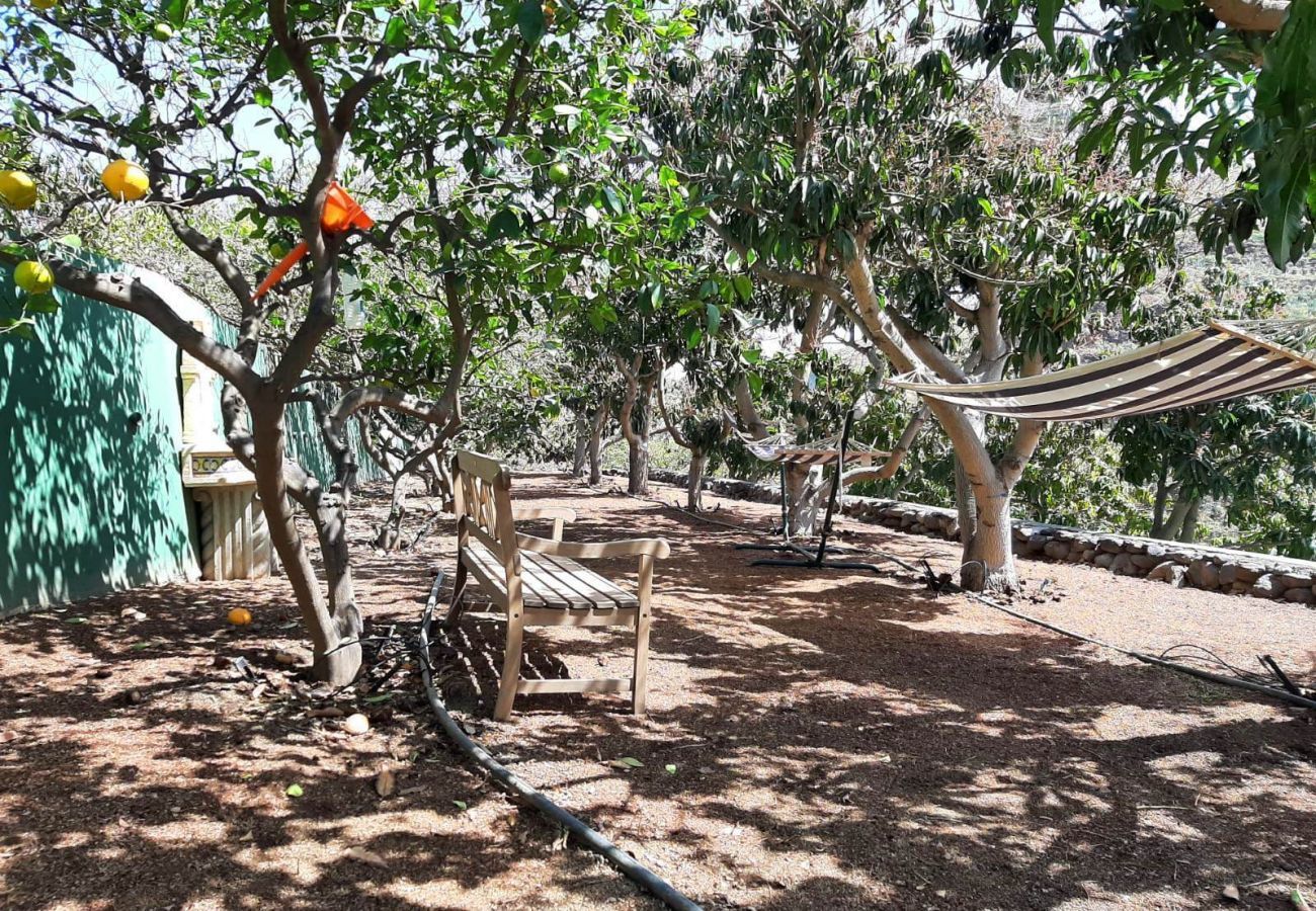 Finca Telde biedt een relax vakantie aan grote groepen. Met privé zwembad en mooie wandelpaden in Telde, Gran Canaria