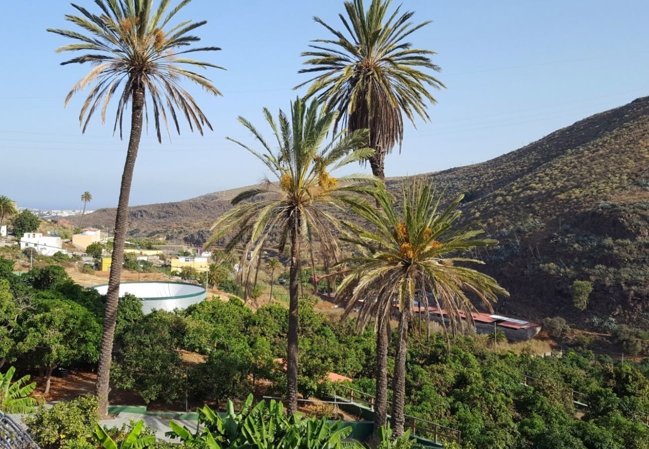 Finca Telde biedt een relax vakantie aan grote groepen. Met privé zwembad en mooie wandelpaden in Telde, Gran Canaria