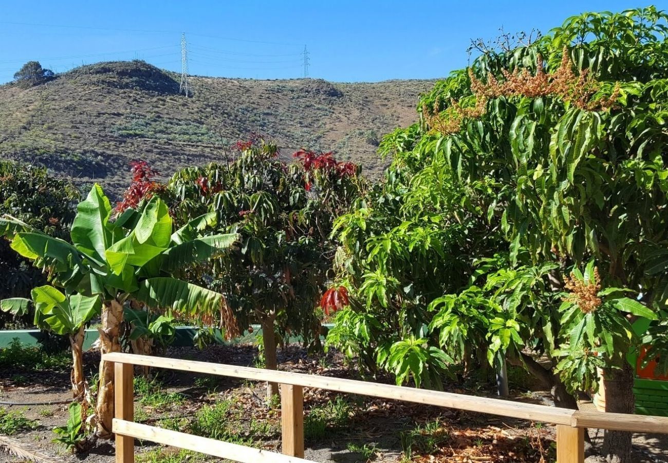 Finca Telde biedt een relax vakantie aan grote groepen. Met privé zwembad en mooie wandelpaden in Telde, Gran Canaria