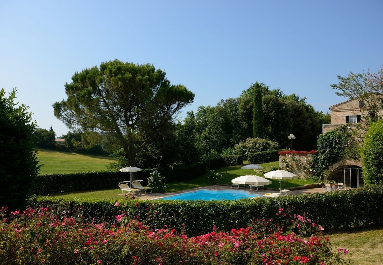 Villa Storica is een luxe droomvilla met privezwembad en wijngaard in Le Marche, Italië