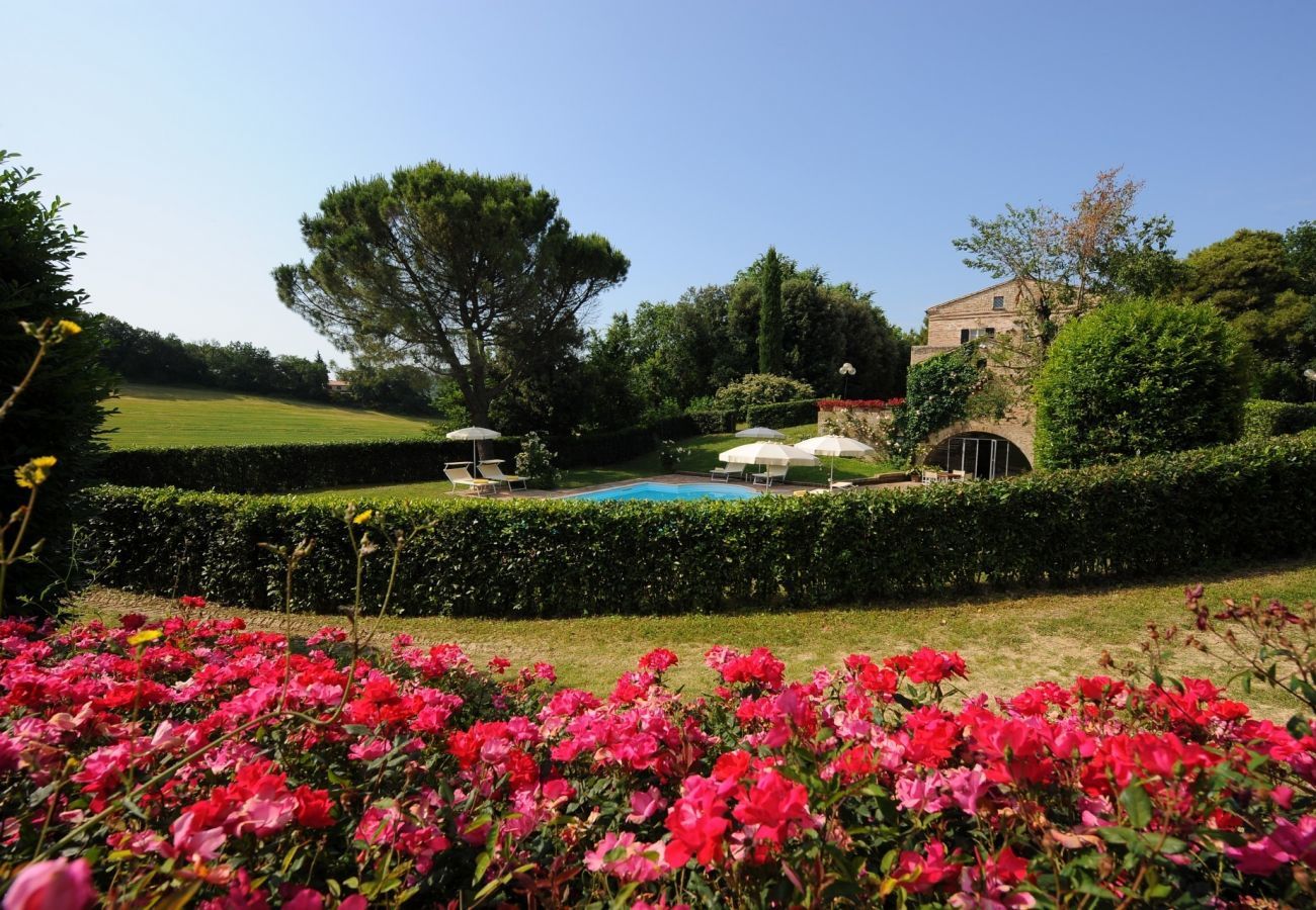 Villa Storica is een luxe droomvilla met privezwembad en wijngaard in Le Marche, Italië