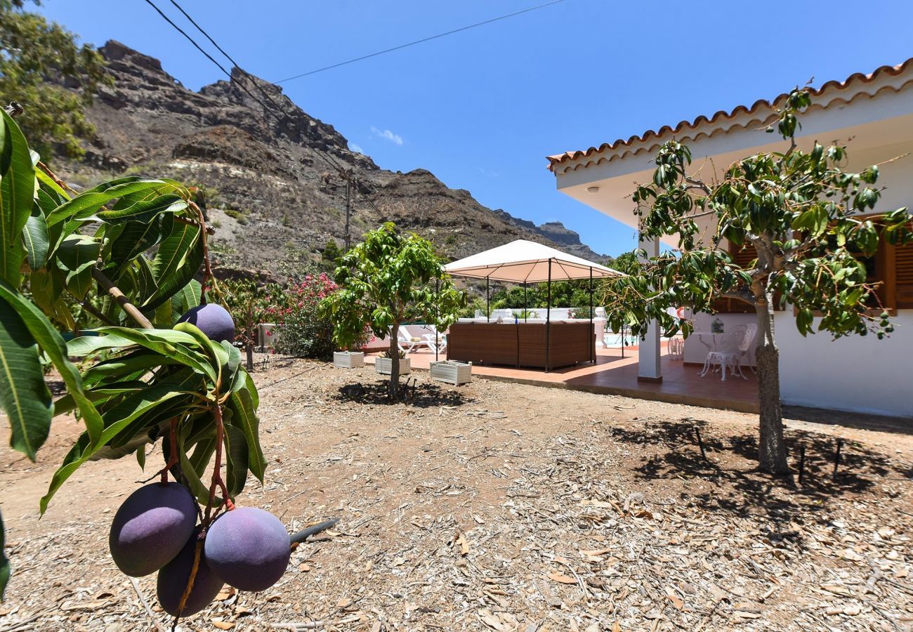 Villa in Mogán - Villa Manzana