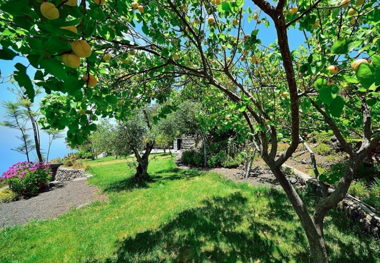 Villa Anna is een prachtige vakantievilla met verwarmd privé zwembad, tropische tuin en zeezicht in Tijarafe, La Palma