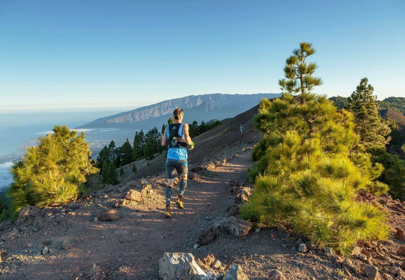 Pavilion Miramar is een paradijselijke villa voor twee met zeezicht en veel privacy in Puntagorda, La Palma