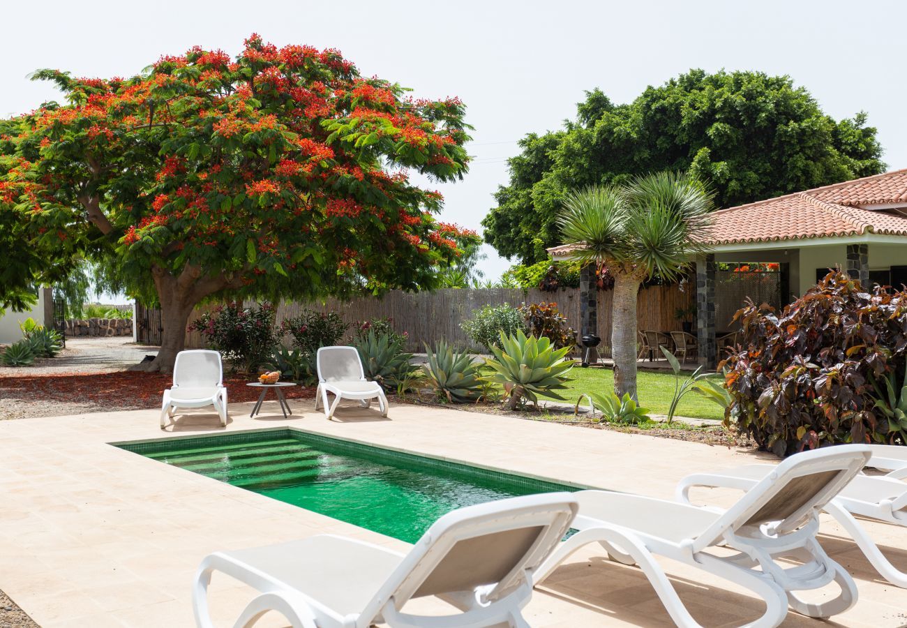 Huis in Guaza - Villa Desino