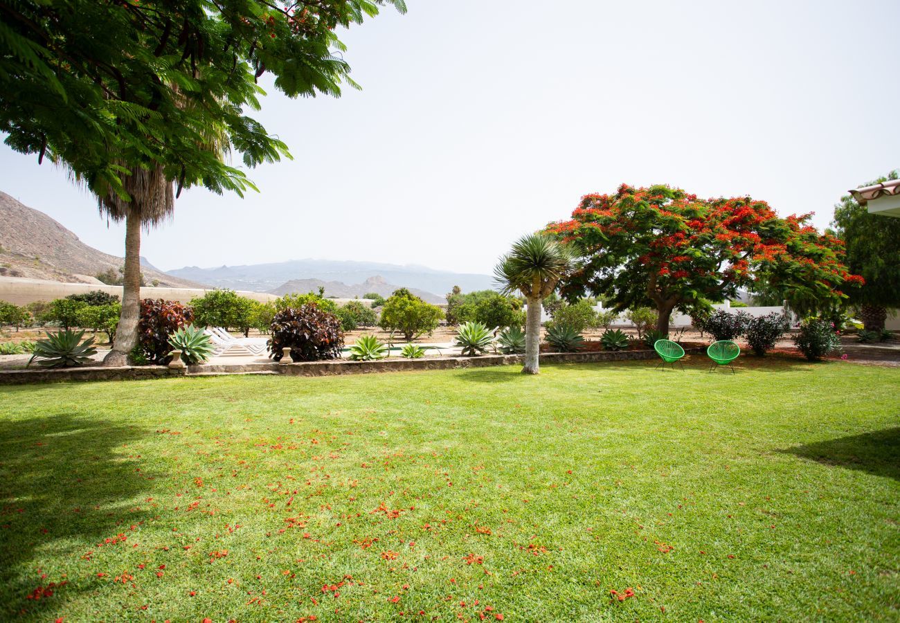 Huis in Guaza - Villa Desino
