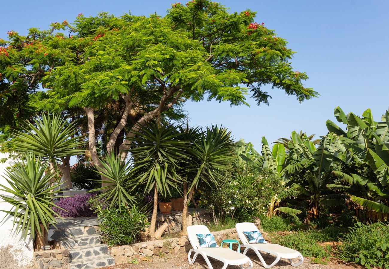 Casa Desiño I is een heerlijk vakantiehuis in Ibaza stijl met veel privacy. Uitzicht over bananenplantage in Guaza, Tenerife