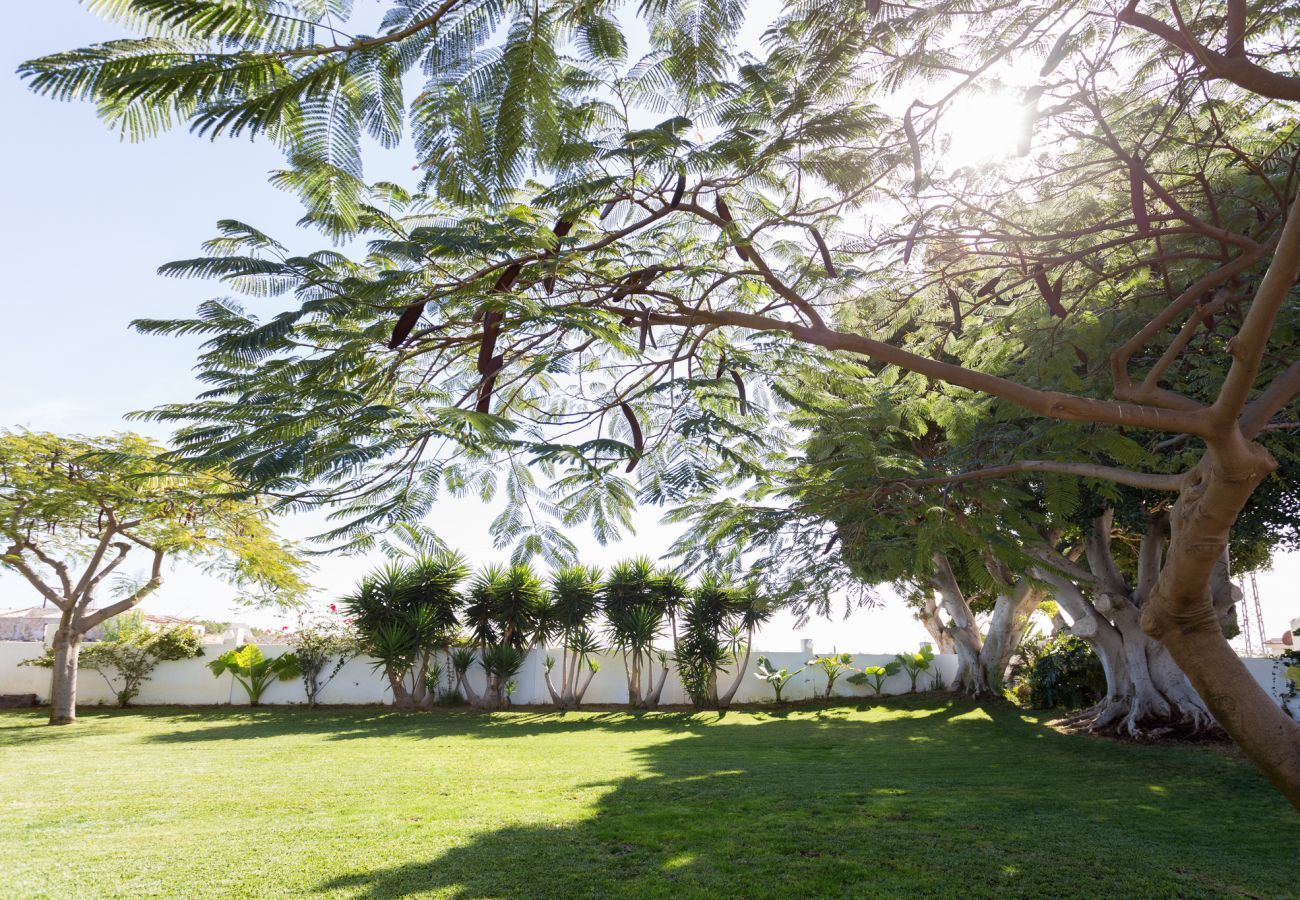 Villa Desiño Pequeno met groene tuin en volop ruimte en privacy. In Guaza, Tenerife.