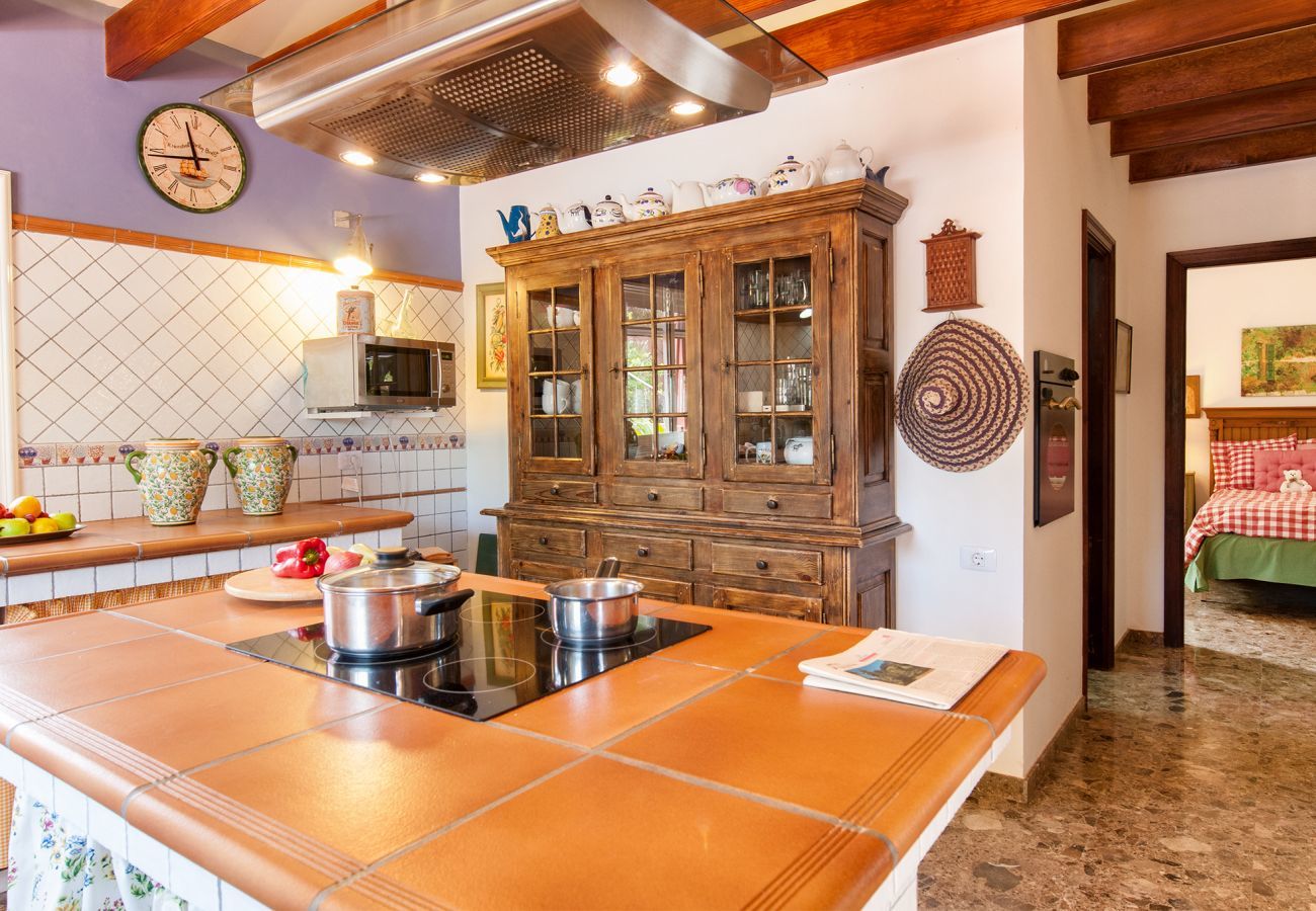 Villa in Maspalomas - Finca Elodia