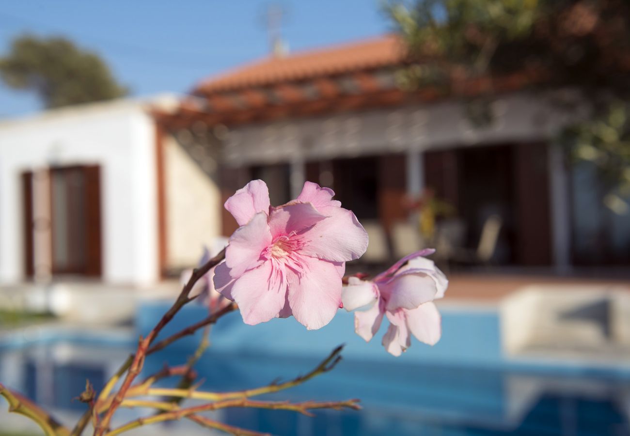  Villa Kyria | Een vrijstaande villa met privé zwembad op Kreta, Griekenland