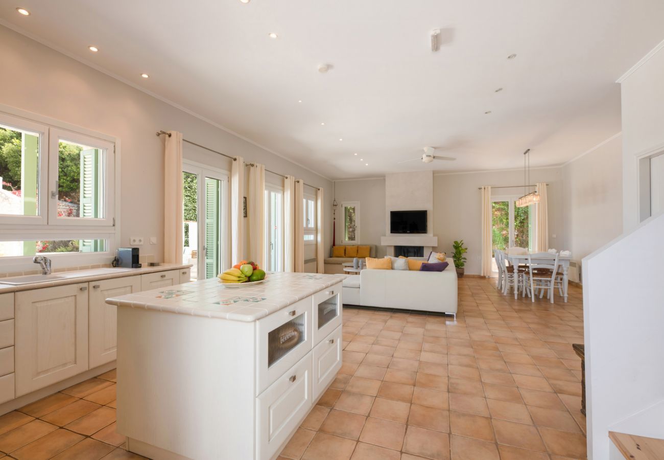 Villa in Spartochori - Villa Erini