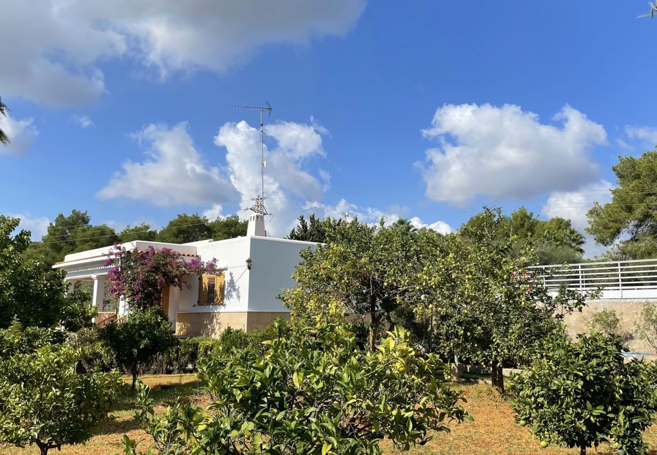  Villa Santa Eulalia | Een vrijstaande villa met privé zwembad op Ibiza, Spanje