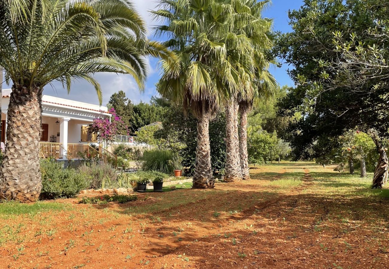  Villa Santa Eulalia | Een vrijstaande villa met privé zwembad op Ibiza, Spanje