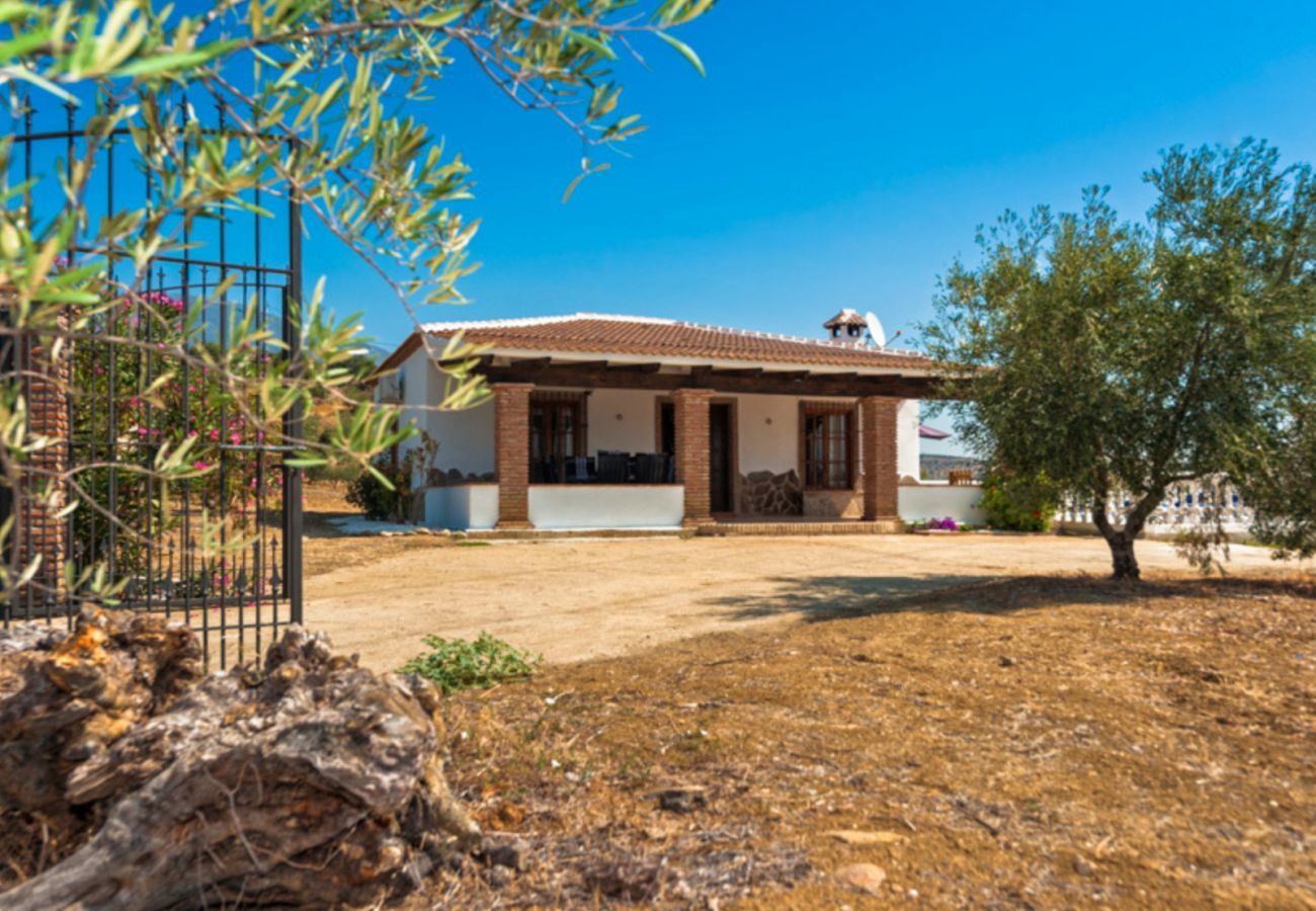 Mooie villa met omheind privé zwembad en panoramisch uitzicht. Omgeven door olijfbomen.