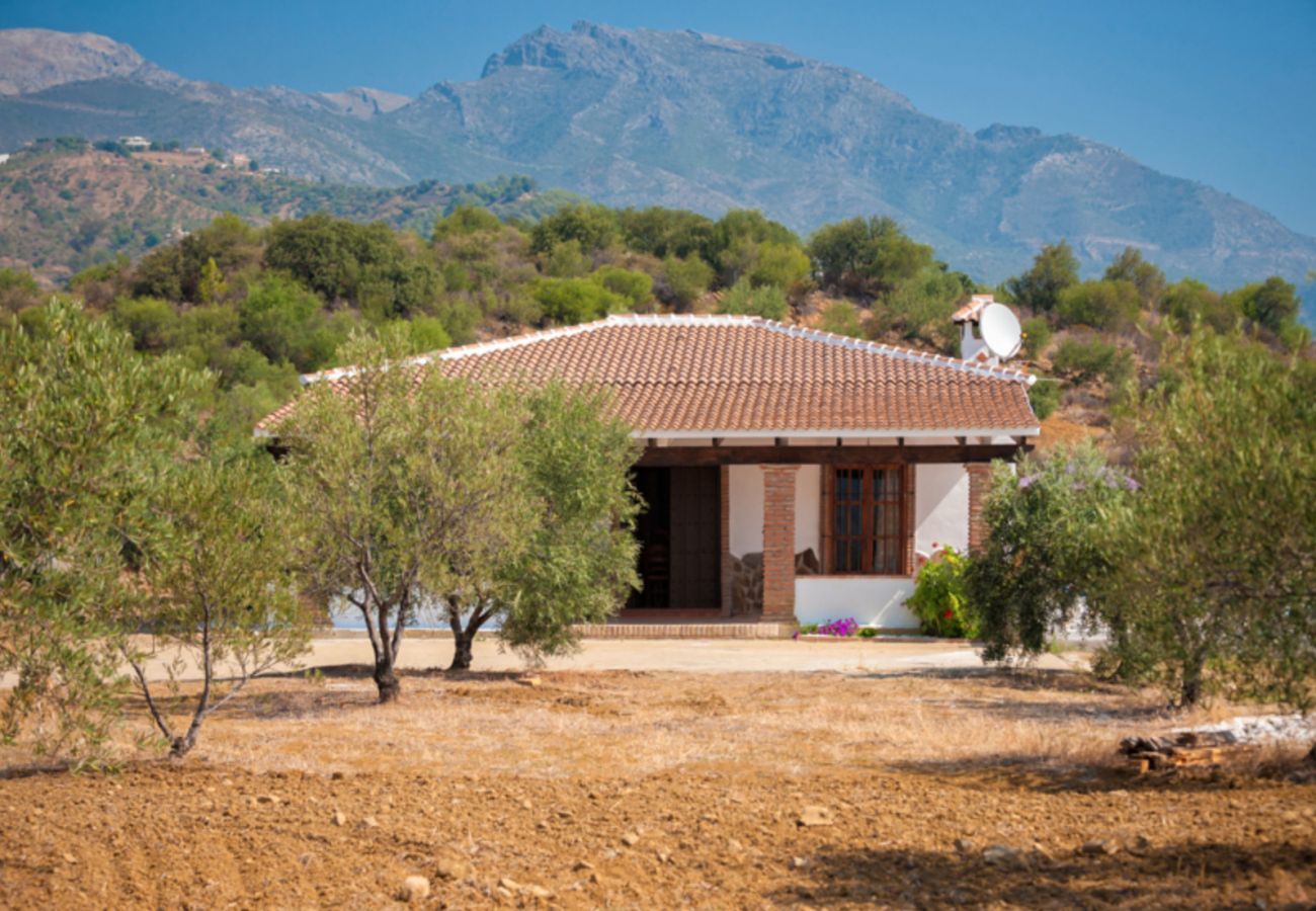 Mooie villa met omheind privé zwembad en panoramisch uitzicht. Omgeven door olijfbomen.