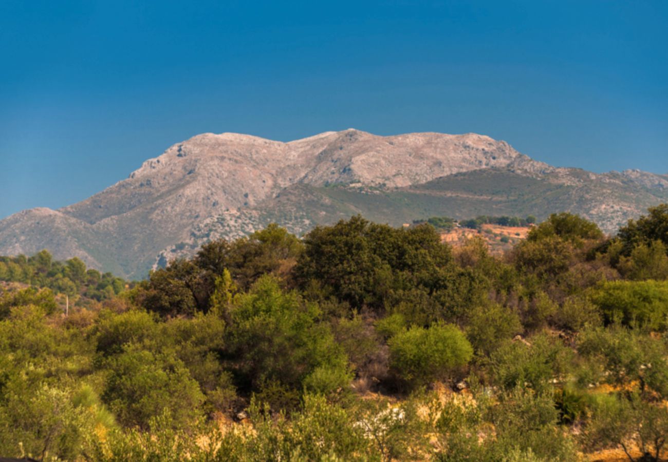 Mooie villa met omheind privé zwembad en panoramisch uitzicht. Omgeven door olijfbomen.