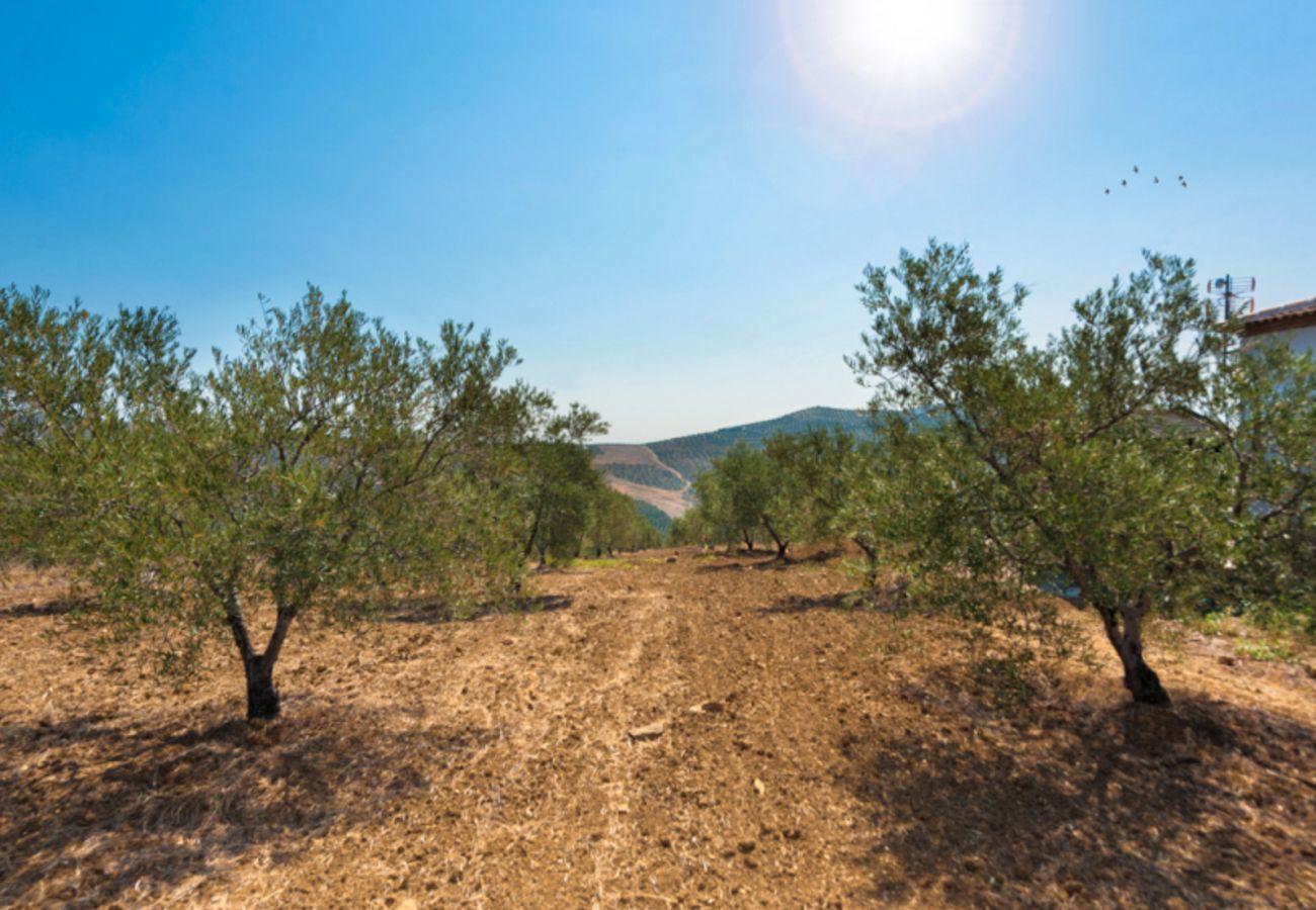 Mooie villa met omheind privé zwembad en panoramisch uitzicht. Omgeven door olijfbomen.