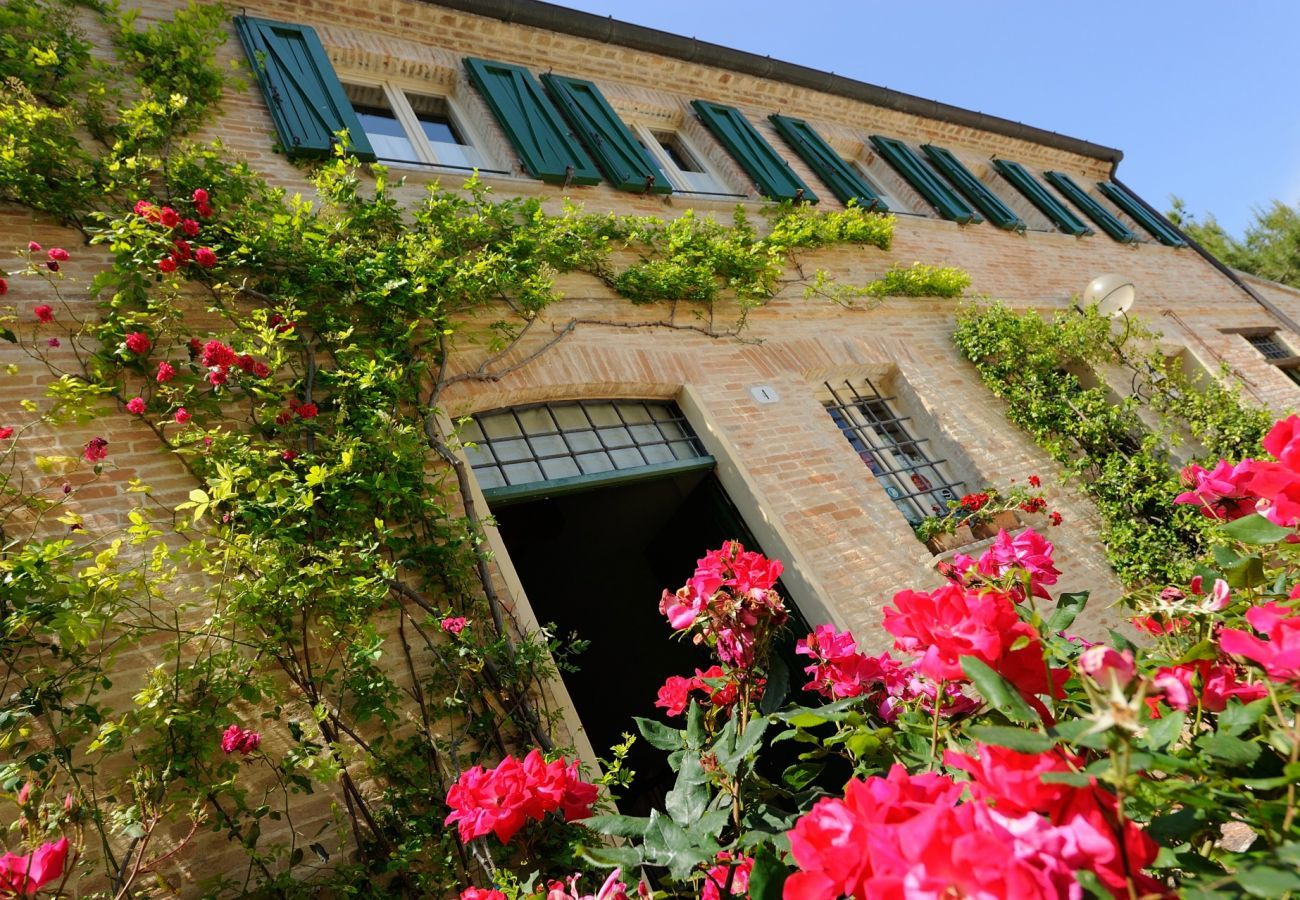 Antico Casolare is een unieke villa met privé zwembad en wijngaard in Le Marche, Italië. Ideaal voor grote groepen!