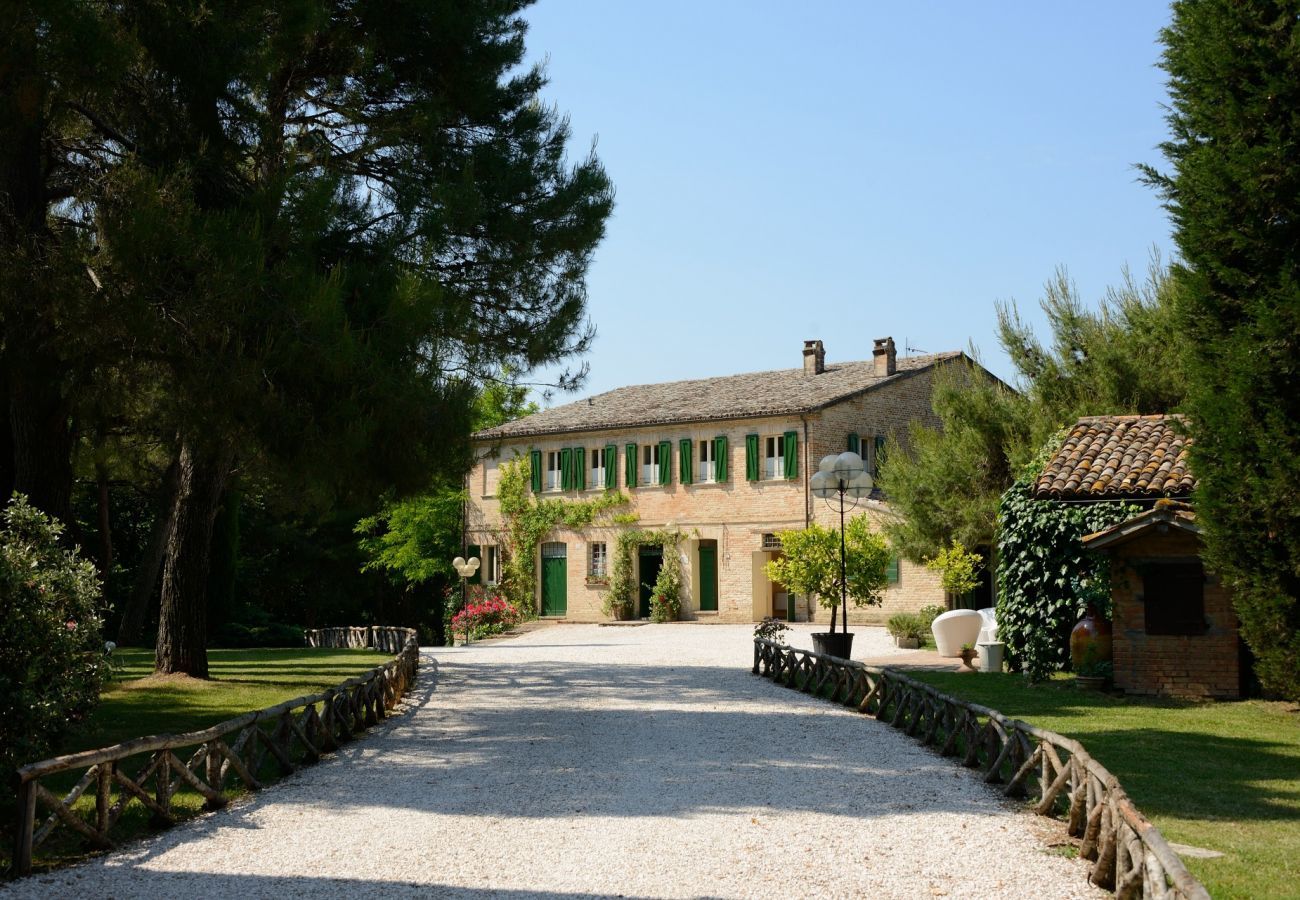 Antico Casolare is een unieke villa met privé zwembad en wijngaard in Le Marche, Italië. Ideaal voor grote groepen!