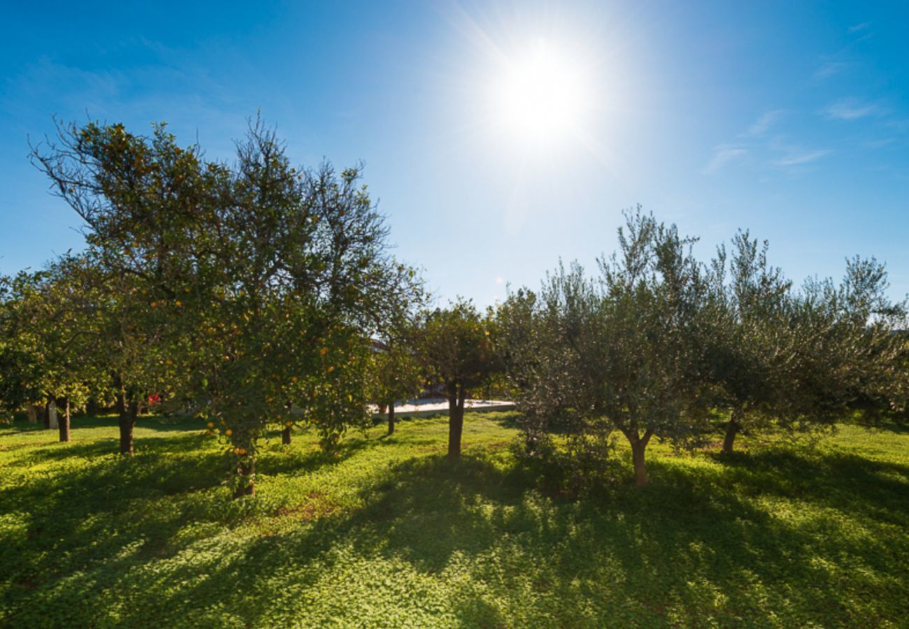 Villa Eldorado is een subtropische villa met privé zwembad in Coín