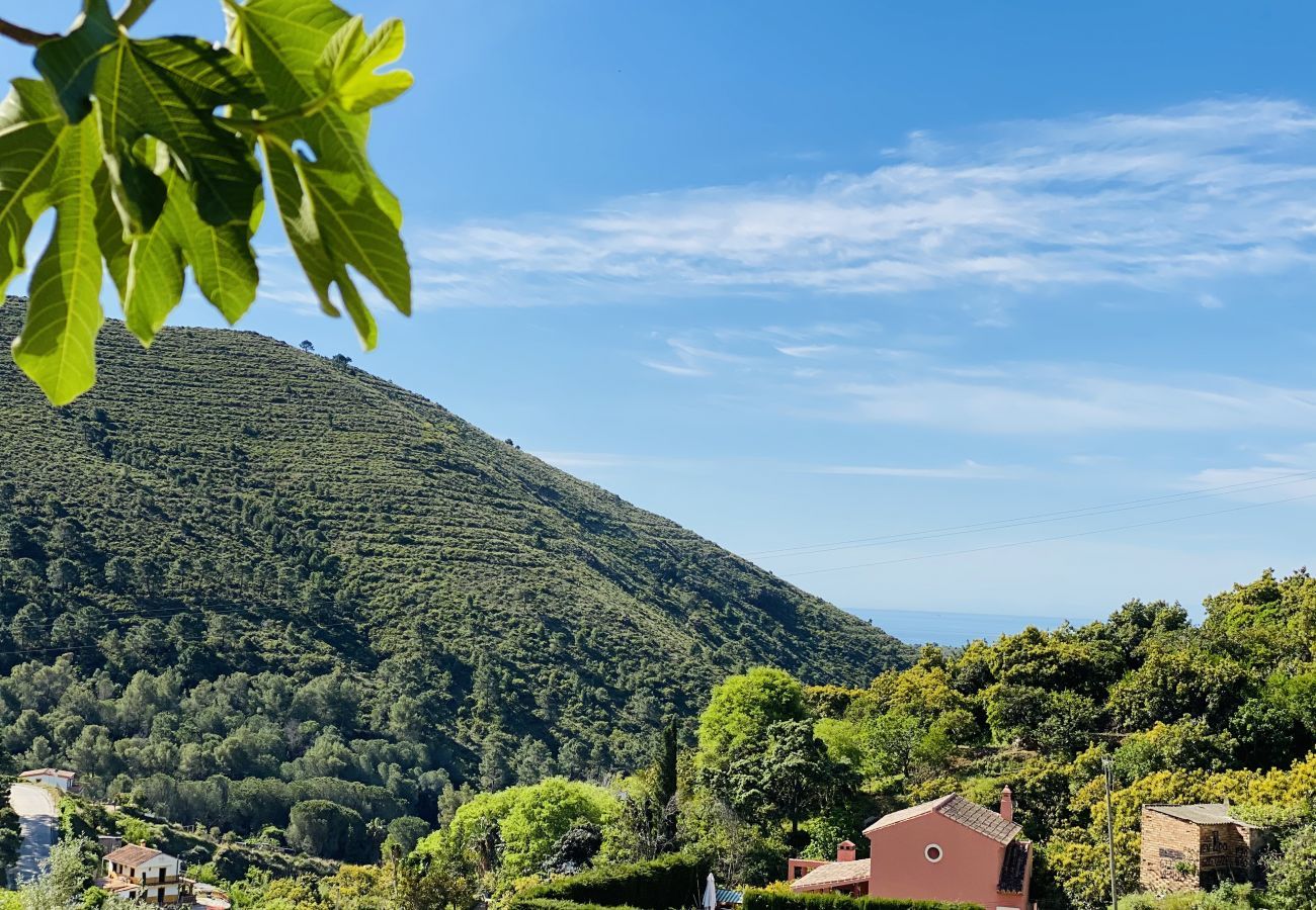 Finca Flores is een vrijstaand vakantiehuis met privé zwembad, geweldig uitzicht en veel privacy in Ojén, Andalusië