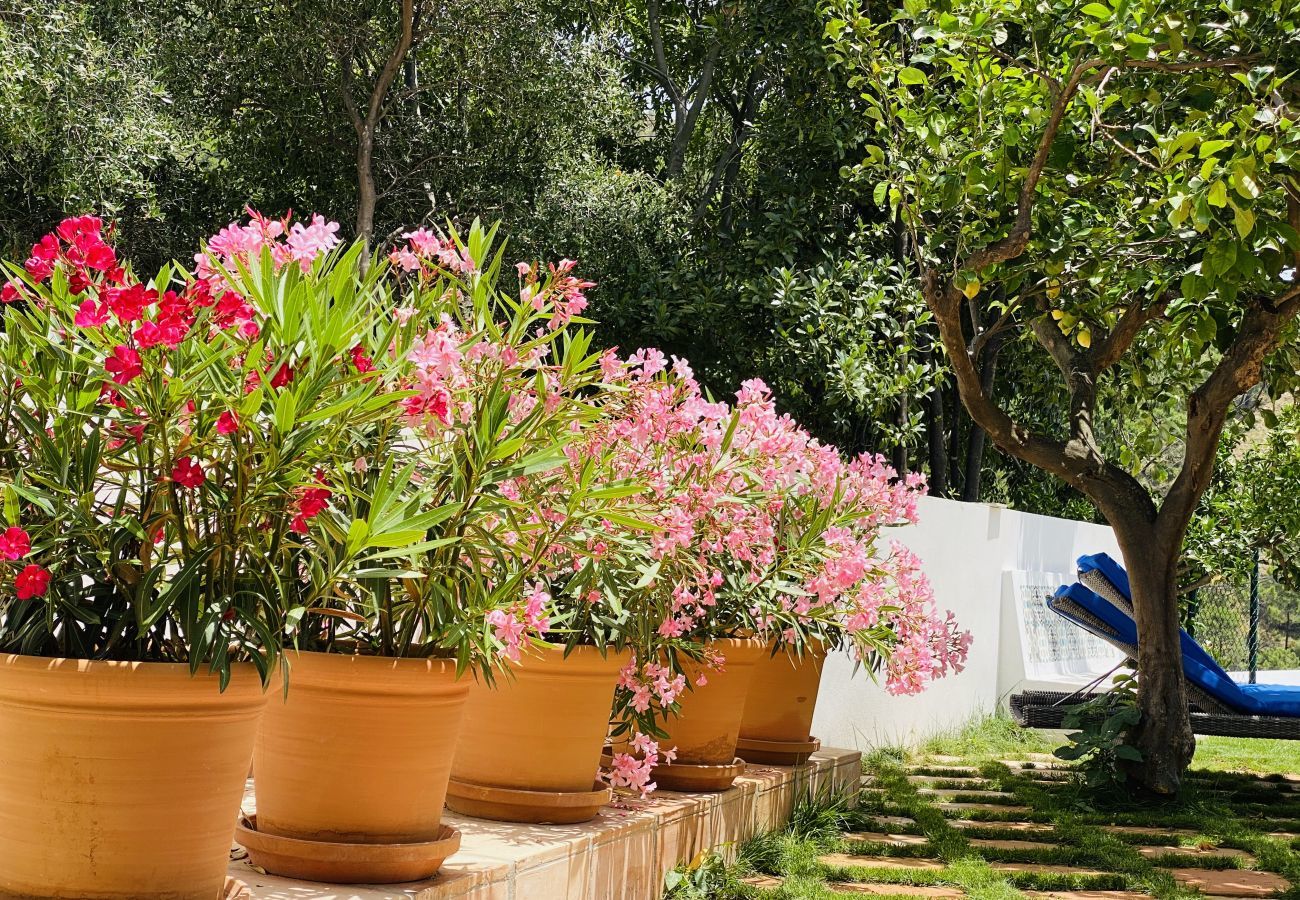  Finca Santa Ana is een vakantiehuis met privé zwembad en tuin met fruitbomen. Loopafstand van Ojén, Andalusia