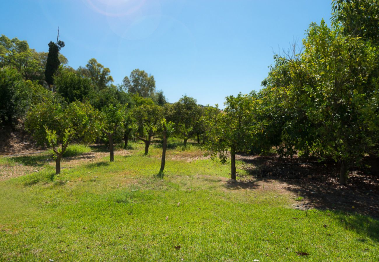 Casita Agua met privé zwembad en fruitbomen. Op een rustige plek naast de Rio Grande in Alozaina, Andalusië