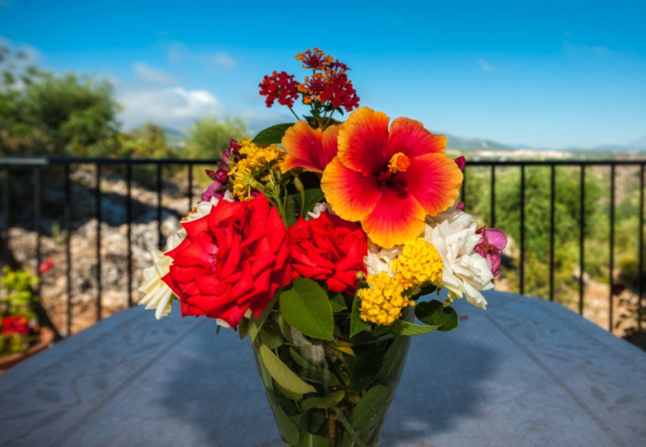 Villa Naranja heeft een privé zwembad, tuin met fruitboomgaard en veel privacy. In Alhaurin el Grande, Andalusië