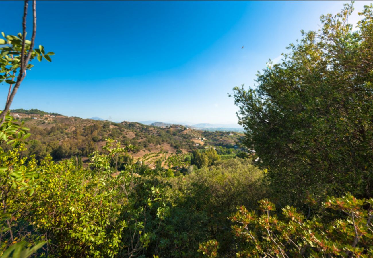 Villa Naranja heeft een privé zwembad, tuin met fruitboomgaard en veel privacy. In Alhaurin el Grande, Andalusië