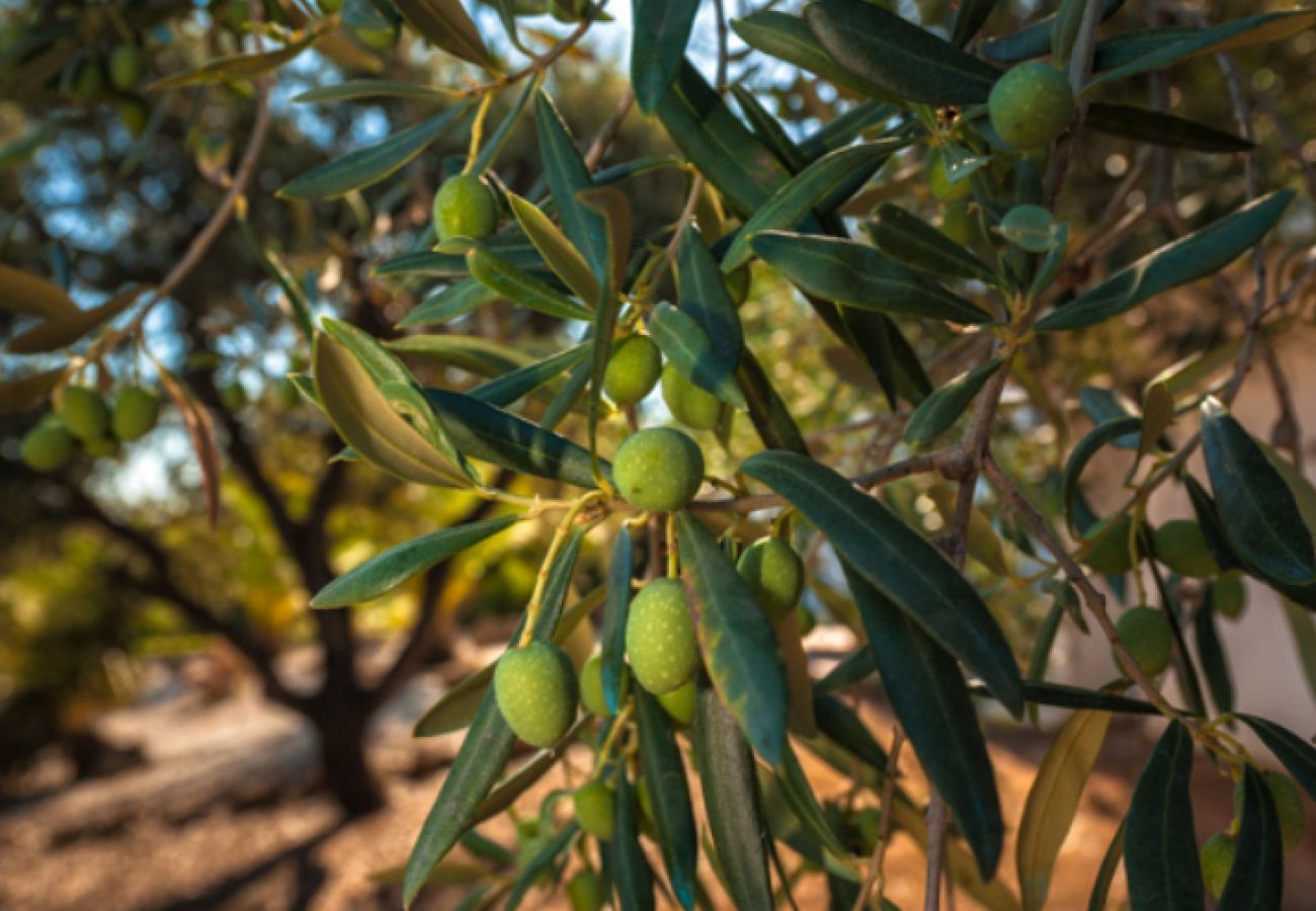 Villa Naranja heeft een privé zwembad, tuin met fruitboomgaard en veel privacy. In Alhaurin el Grande, Andalusië