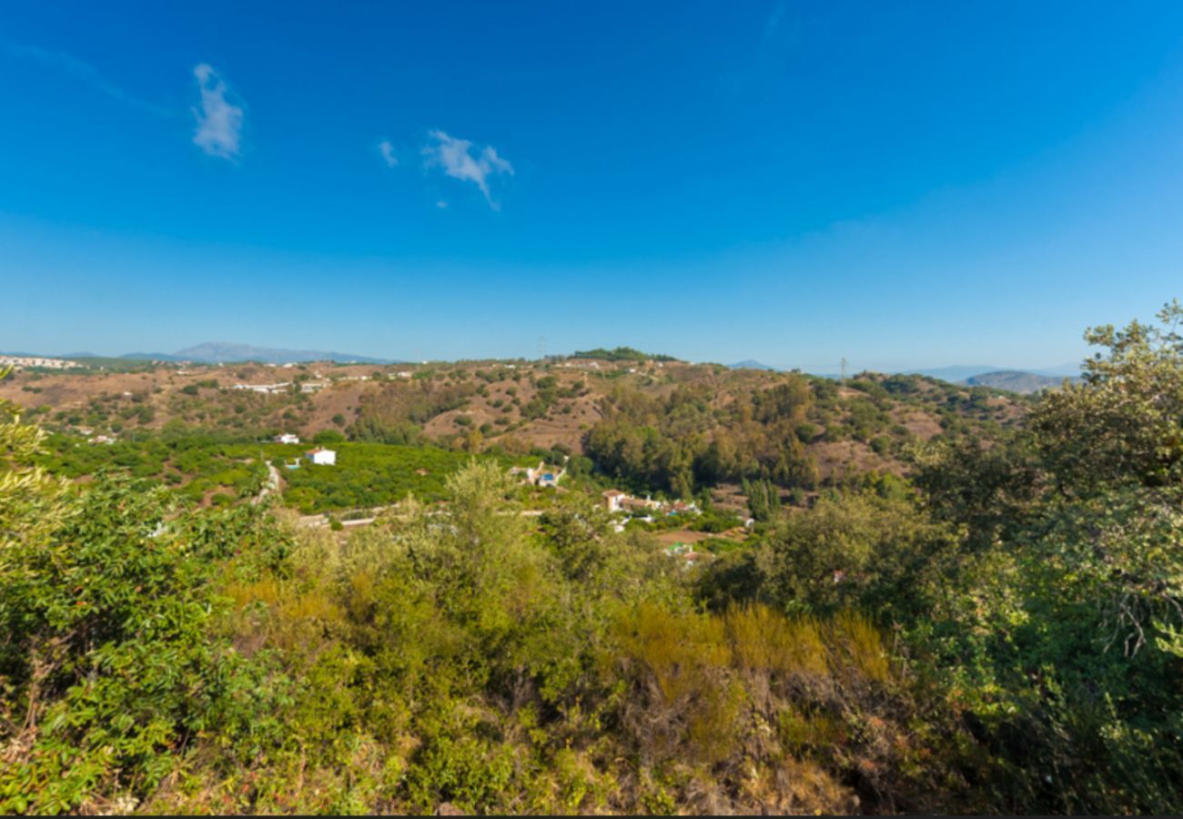 Villa Naranja heeft een privé zwembad, tuin met fruitboomgaard en veel privacy. In Alhaurin el Grande, Andalusië