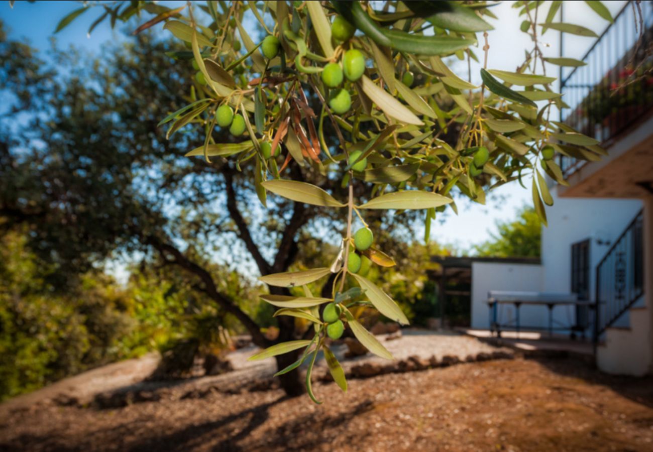 Villa Naranja heeft een privé zwembad, tuin met fruitboomgaard en veel privacy. In Alhaurin el Grande, Andalusië