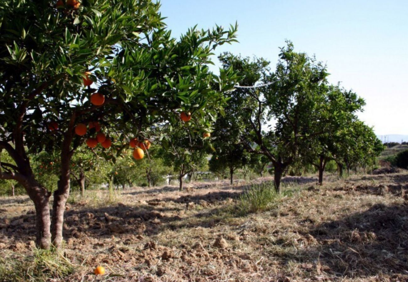 Finca de la Torre met verwarmd privé zwembad, tuin met fruitbomen en volop privacy in Alhaurin de la Torre, Andalusië