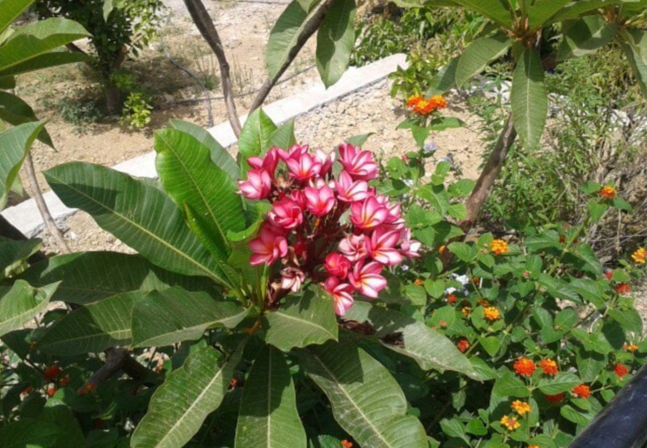 Finca de la Torre met verwarmd privé zwembad, tuin met fruitbomen en volop privacy in Alhaurin de la Torre, Andalusië
